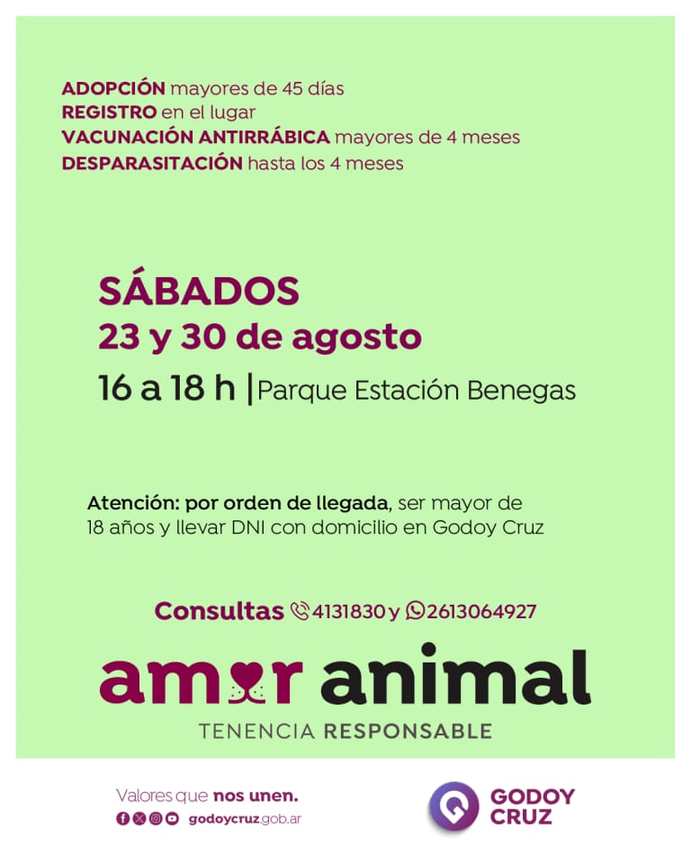 Amor Animal, Godoy Cruz, Red Barrial